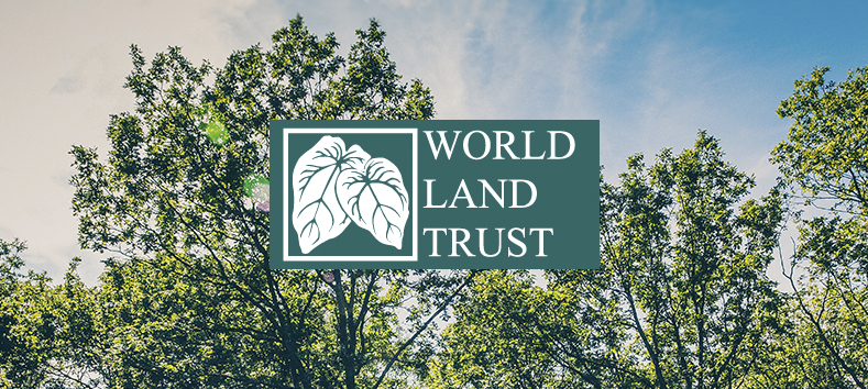 World Land Trust logo overlaid on a forest photo