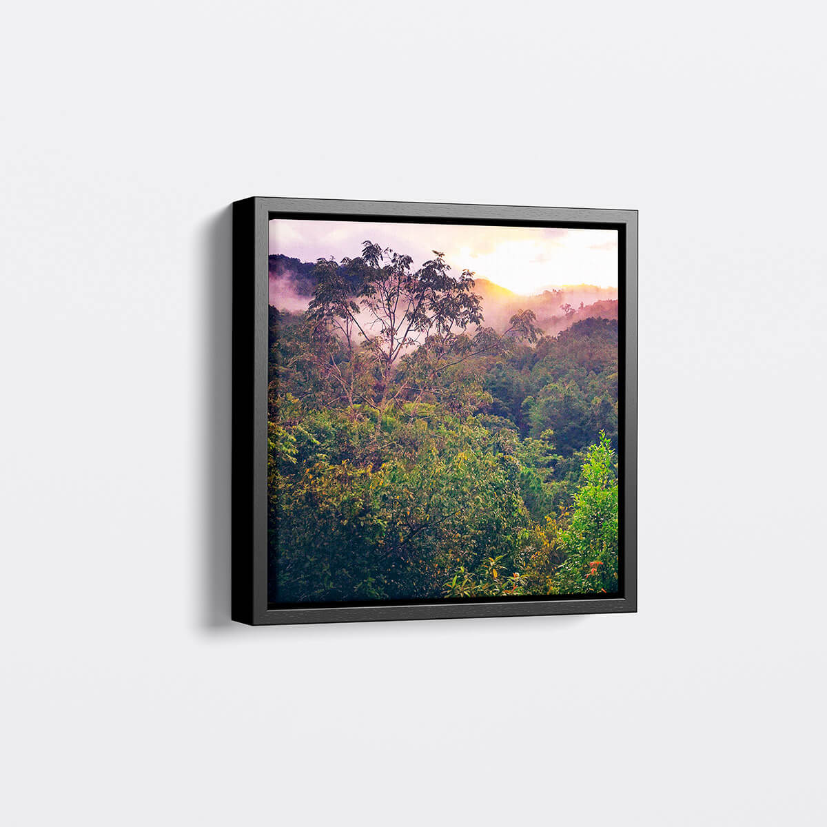 A black square framed canvas. Picture of a jungle