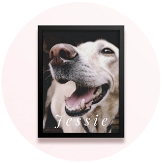 Simple framed pet photo print with large portrait and pet name