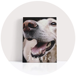 Pet canvas print with close-up photo of happy dog and name text